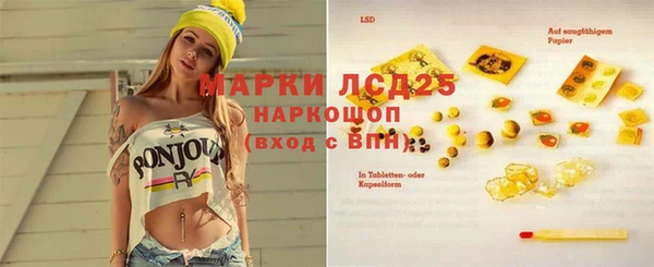 прущие грибы Арсеньев