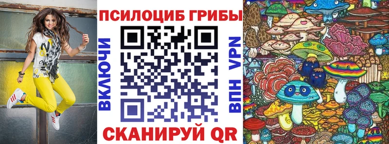 Галлюциногенные грибы Magic Shrooms  купить   Дегтярск 